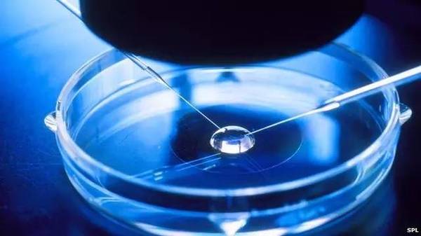 【图】将皮肤细胞“变成”精子，生育技术或打开潘多拉魔盒