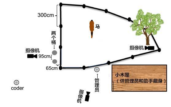 【j2开奖】马遇到困难怎么办？找人类啊！两脚兽呢快来帮忙！！