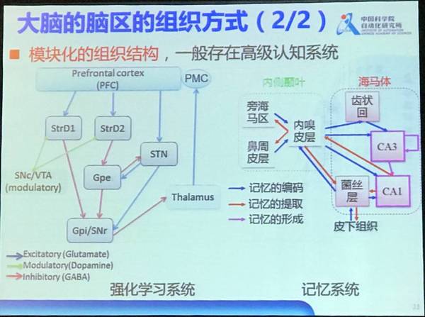 报码:【j2开奖】演讲 | 中科院徐波：中国脑计划的现状和发展方向