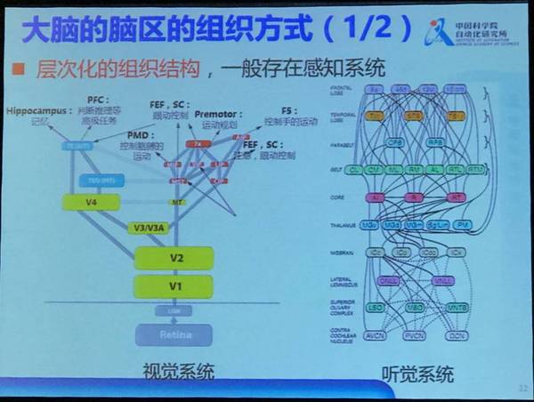 报码:【j2开奖】演讲 | 中科院徐波：中国脑计划的现状和发展方向