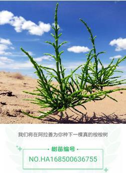 报码:【j2开奖】蚂蚁森林已在沙漠种下76万棵树，网友玩坏