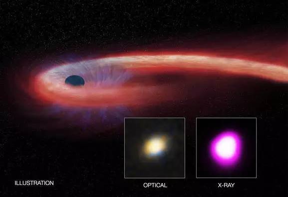【j2开奖】太空吃货：一个超大黑洞正在吞一颗恒星！已经吞了10年！