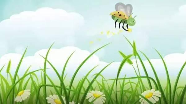 【j2开奖】先有蜜，还是先有花？什么！最初的蜜蜂竟然是吃肉的！