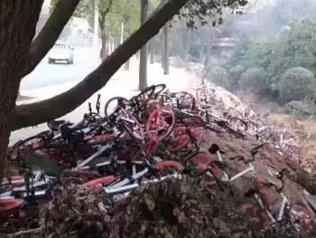 wzatv:【j2开奖】大量摩拜单车被遗弃在东湖绿道 涉事安保队长被开
