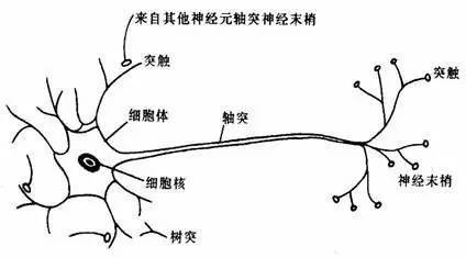 【j2开奖】最形象的卷积神经网络详解：从算法思想到编程实现