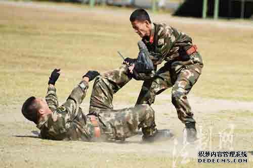 沙场春点兵 招招必杀技