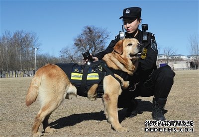 警犬戴VR“天眼” 可回传现场全景画面 民警可远距离现场指挥