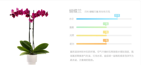 报码:【j2开奖】除了手机外，原来小米百货商店还有这些有趣的东西