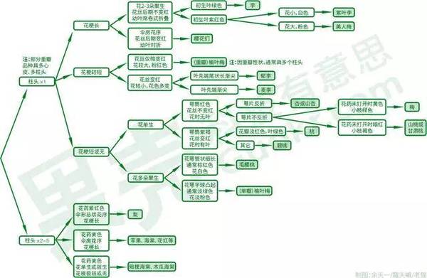 wzatv:【j2开奖】桃李梨杏梅樱海棠……又双叒叕开花了！脸盲吗？看这个！