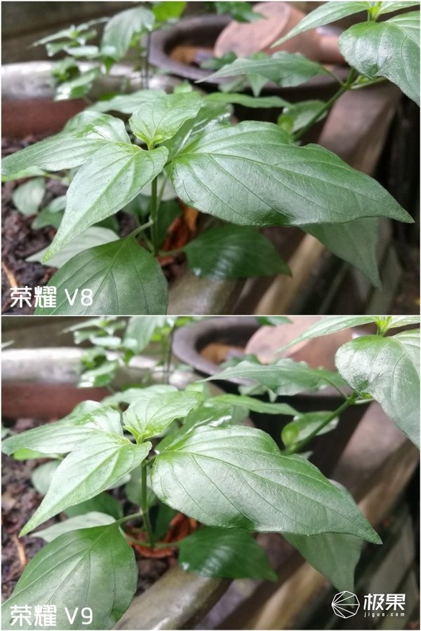 报码:【j2开奖】荣耀V9深度体验：颜值高性能强，玩游戏超过瘾