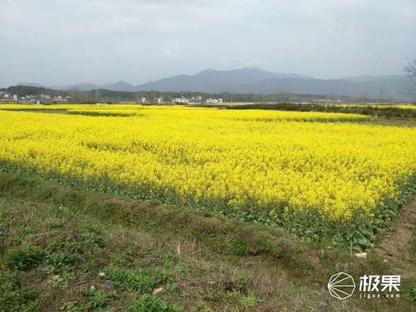 报码:【j2开奖】43小时180km越野跑，首届黄山超级越野赛体验