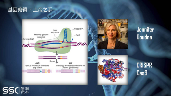 【j2开奖】分析研究：2017年时下之未来启示录