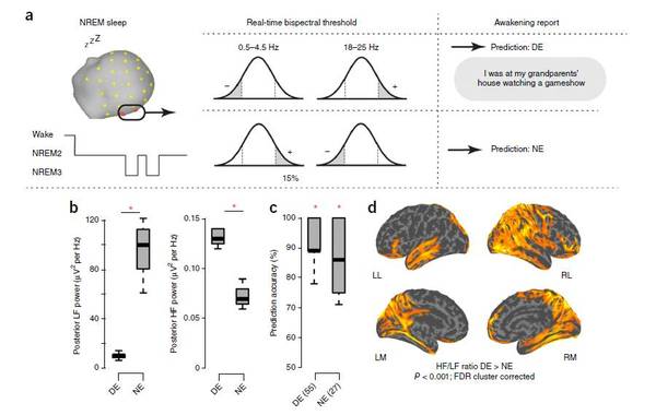 wzatv:【j2开奖】怎样的大脑活动算做梦？|Nature Neuroscience论文