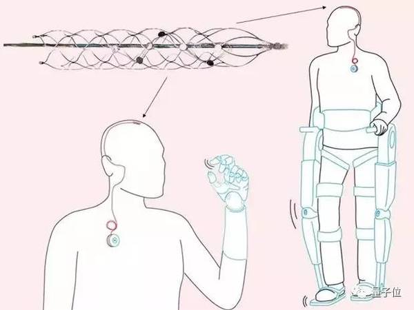 码报:【j2开奖】脑机交互有多难？五位顶级科学家剖析马斯克的Neuralink