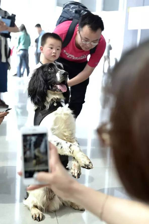 码报:【j2开奖】请患者不要死在走廊上：图不灵医院，究竟有多灵？