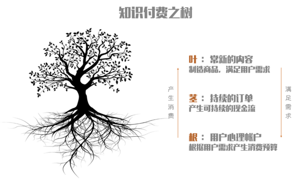 【j2开奖】知识付费：根深 · 茎固 · 叶茂者方得始终