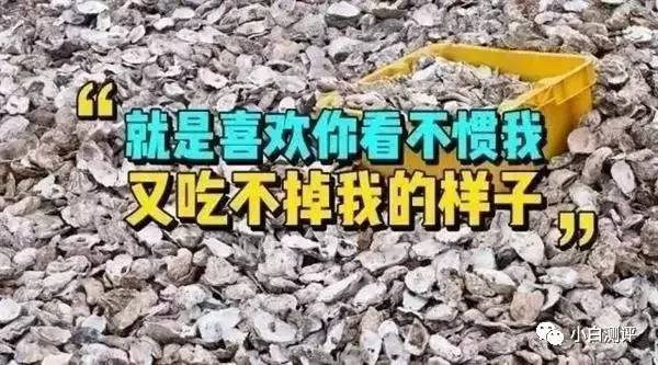 报码:【j2开奖】【吃货】丹麦生蚝泛滥成灾 马云 刘强东带吃货铁骑出征