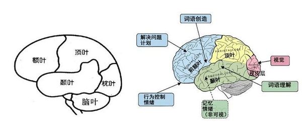 【图】爱笑的姑娘运气不会太差！除非……得了这些跟笑有关的病 | 早期实验室