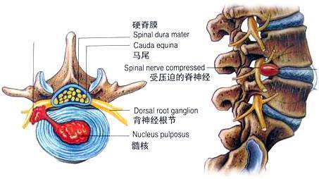 报码:【j2开奖】上班族的救命稻草：只用3步，让你久坐不腰疼！