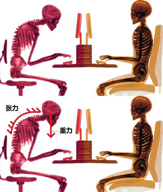 报码:【j2开奖】上班族的救命稻草：只用3步，让你久坐不腰疼！