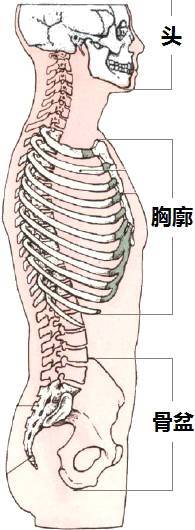 报码:【j2开奖】上班族的救命稻草：只用3步，让你久坐不腰疼！