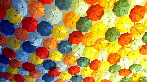 【图】“除了亲人父母，一切都可以拿来做共享”，这位创始人要以共享雨伞入手，构建全球万物大共享平台