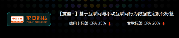 码报:【j2开奖】【友盟+】CDO李丹枫：DI，数据赋予智能力量