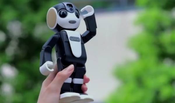 【j2开奖】AI产品视频讲解 | RoBoHoN_最有爱的手机机器人