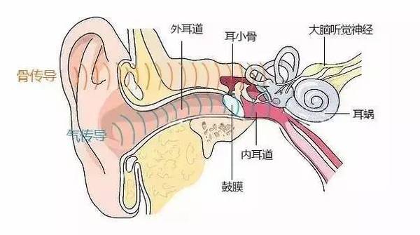 报码:【j2开奖】你的床上生活因为它而饱受折磨，现在有一种方法可以拯救你