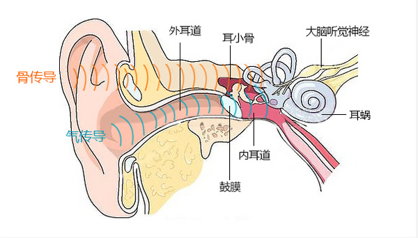 码报:这款“蓝牙耳机”便是能让你告别呼噜的止鼾神