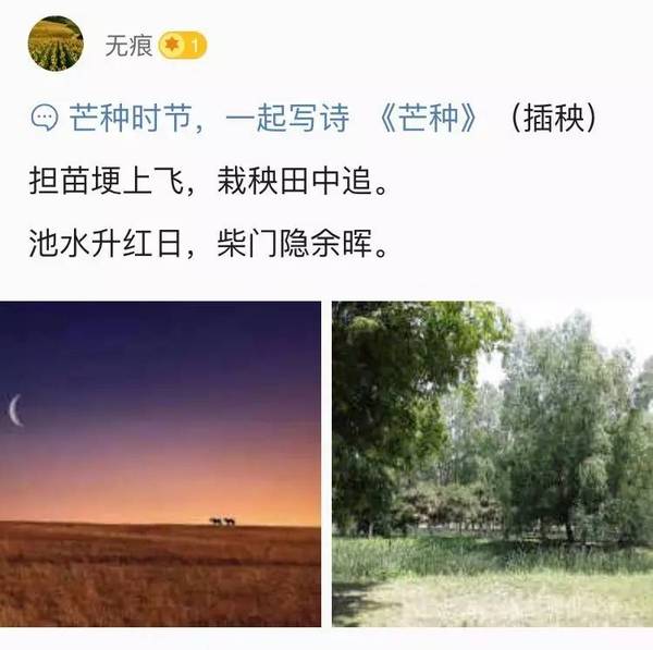 码报:如果你心中恰好有诗，不妨点进来看看远方