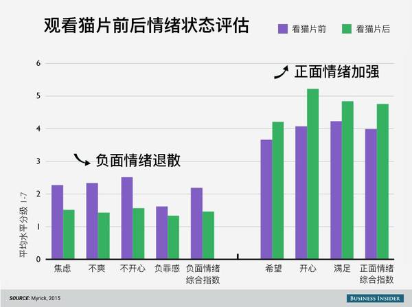 互联网上为什么猫比狗更受欢迎?