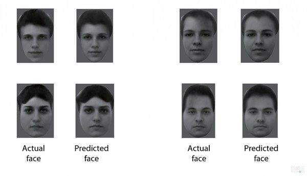 码报:加州理工科学家解码大脑认脸功能，可能为人工