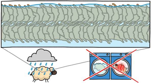 wzatv:羊毛衫一洗就缩水，那绵羊淋了雨，会不会被羊