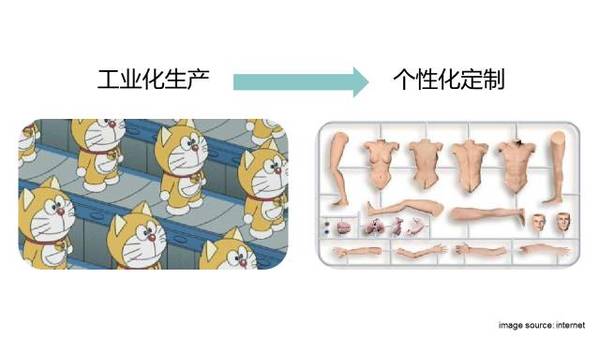 wzatv:3D打印已经可以打印器官了？起码帮到了一只鸟！