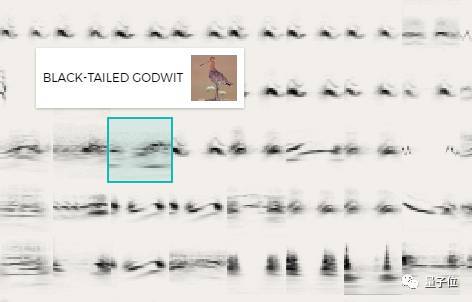 Google用机器学习把各种鸟叫整合成一张互动图，