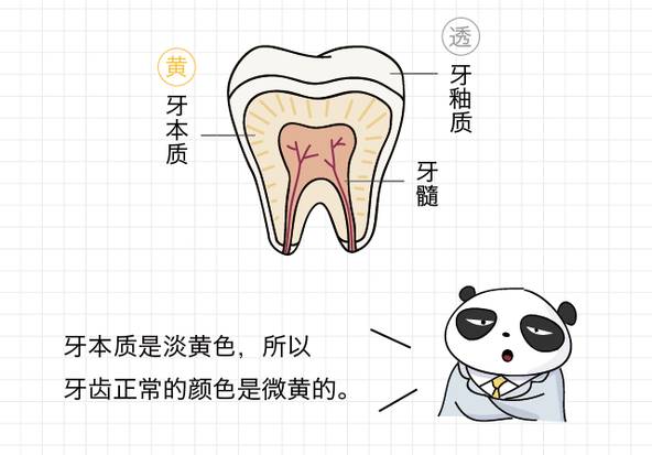 报码:只有牙医知道的“大白牙养成记”！