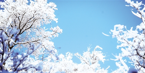 河北狼牙山脚下山村雪景如画。今年入冬以来，太行山区多次降雪，瑞雪兆丰年。 马九思摄