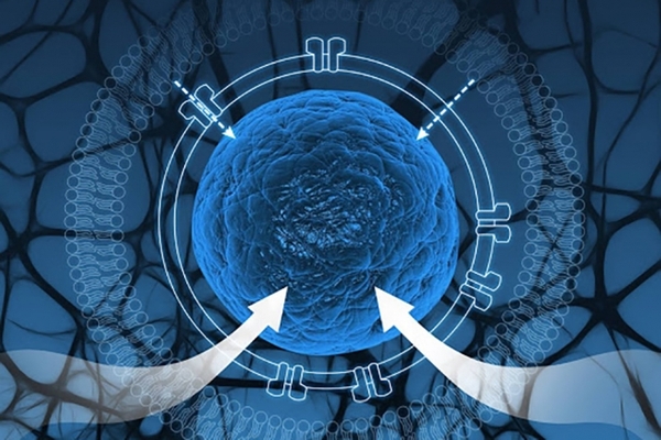 【j2开奖】MIT科学家在细胞外人造基因通路，设计灵活生物功能