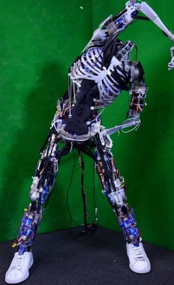 wzatv:【j2开奖】Science Robotics | 新一期介绍三大先锋机器人设计：从微米级的分子机器人到长肉的人形机器人